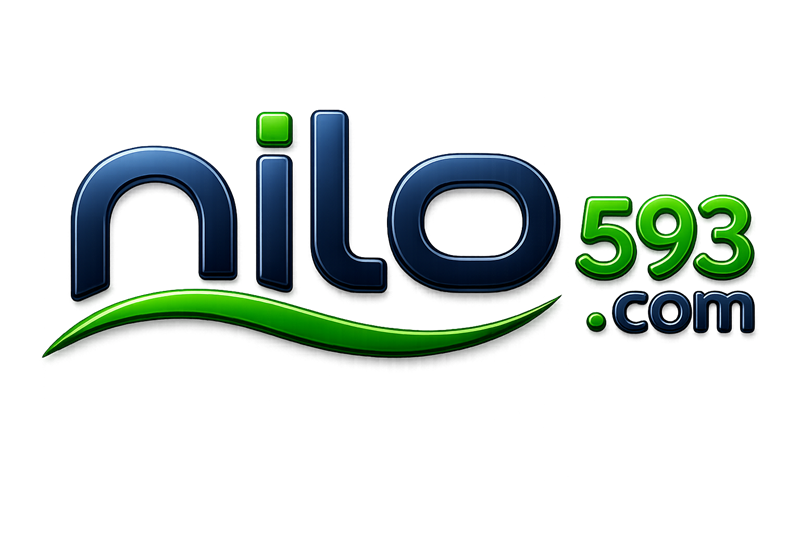 nilo593.com